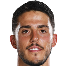 巴勃罗·弗纳尔斯